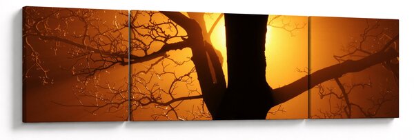 Obraz stromu v západu slunce (170x50 cm)