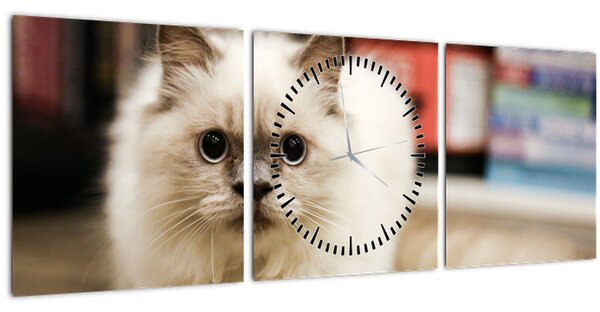 Obraz bílé kočky (s hodinami) (90x30 cm)