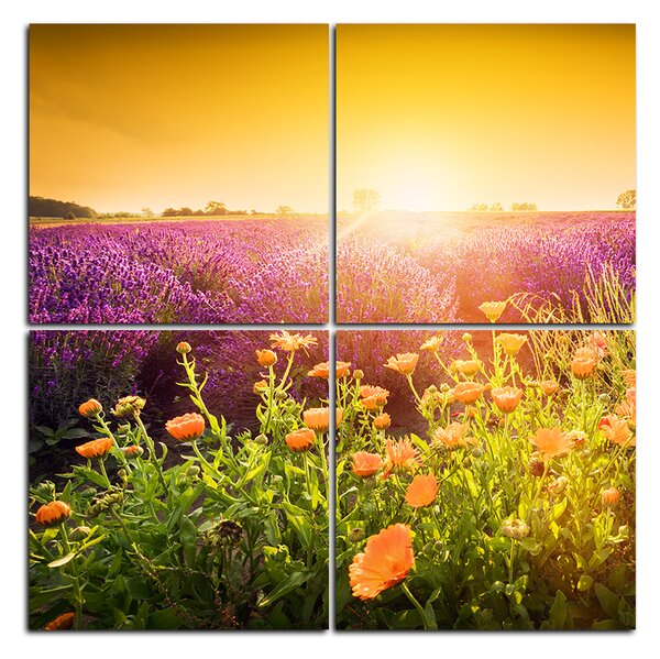 Obraz na plátně - Levandulové pole zalité sluncem - čtverec 365E (100x100 cm)