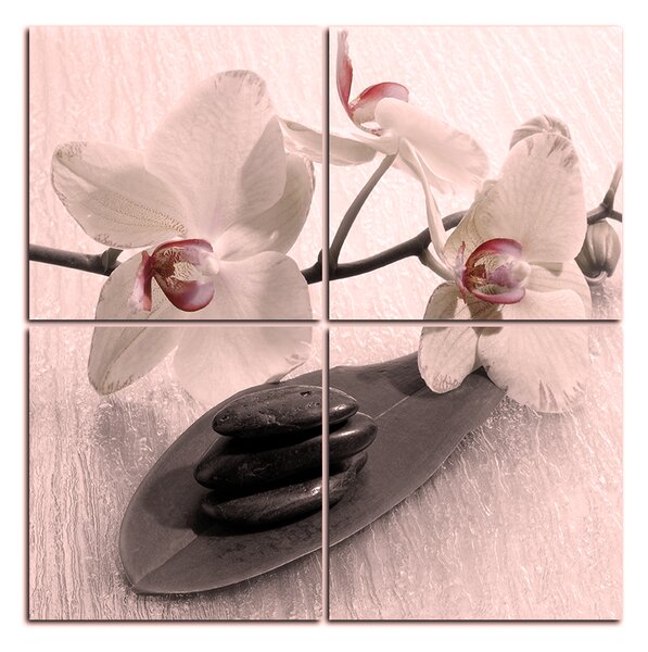 Obraz na plátně - Květy orchideje - čtverec 362FD (60x60 cm)