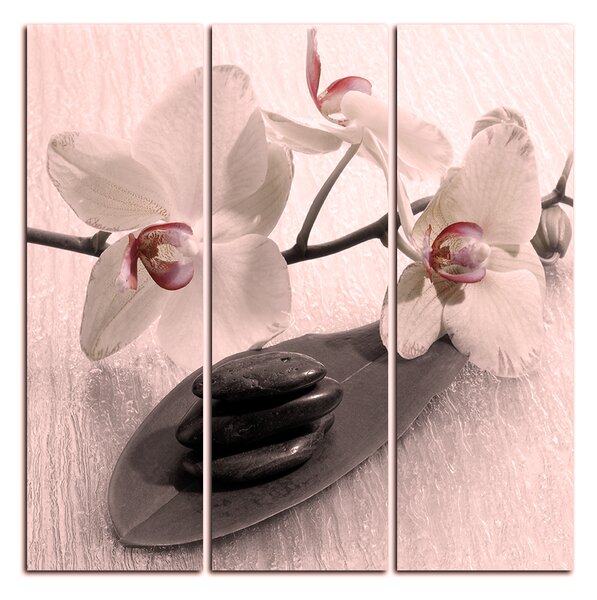 Obraz na plátně - Květy orchideje - čtverec 362FB (75x75 cm)