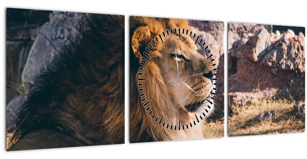 Obraz ležícího lva (s hodinami) (90x30 cm)