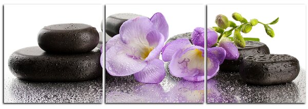 Obraz na plátně - Lávové kameny a fialové květy - panoráma 563B (90x30 cm)