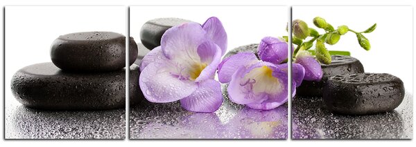 Obraz na plátně - Lávové kameny a fialové květy - panoráma 563C (150x50 cm)