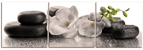Obraz na plátně - Lávové kameny a květy - panoráma 563FB (90x30 cm)