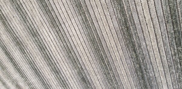 HU Šedý pruhovaný koberec Saloon Grey Rozměr: 50x80 cm