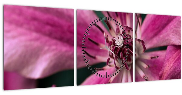 Obraz růžového květu Plaménku (s hodinami) (90x30 cm)