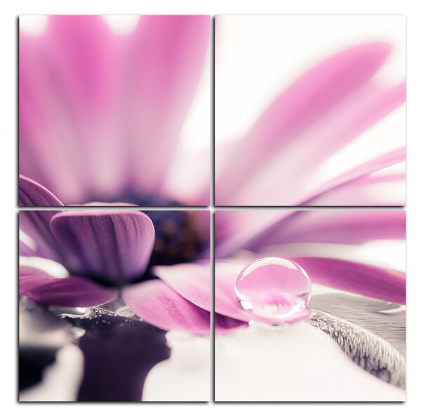 Obraz na plátně - Kapka rosy na lupenech květu - čtverec 380D (60x60 cm)