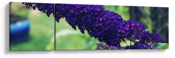Obraz modré květiny (170x50 cm)