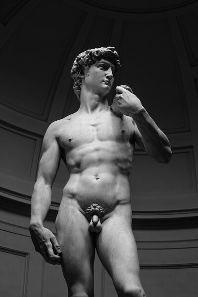 David – černobílá fotografie renesanční sochy – Jednodílný obraz, 40 × 60 cm