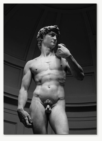 David – černobílá fotografie renesanční sochy – Jednodílný obraz, 50 × 70 cm