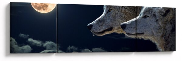 Obraz vlků vyjících na měsíc (170x50 cm)