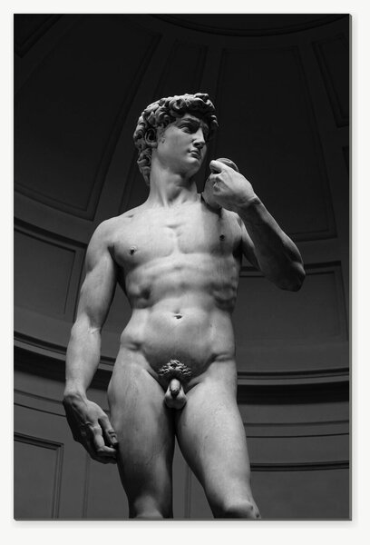 David – černobílá fotografie renesanční sochy – Jednodílný obraz, 40 × 60 cm