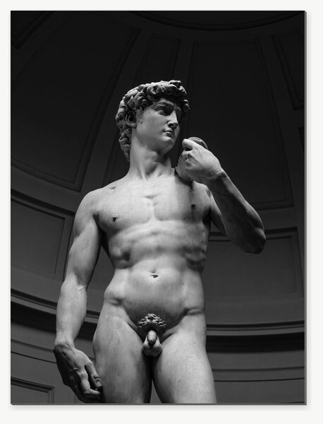 David – černobílá fotografie renesanční sochy – Jednodílný obraz, 30 × 40 cm