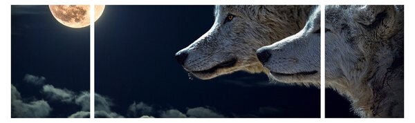 Obraz vlků vyjících na měsíc (170x50 cm)