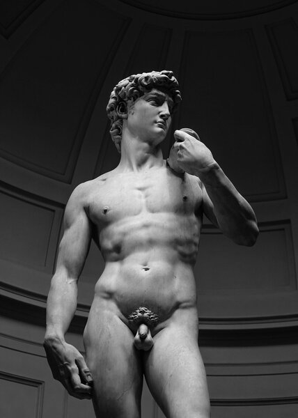 David – černobílá fotografie renesanční sochy – Jednodílný obraz, 50 × 70 cm