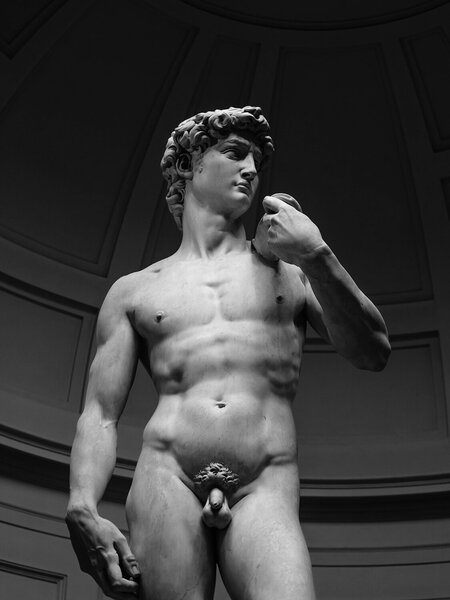 David – černobílá fotografie renesanční sochy – Jednodílný obraz, 30 × 40 cm