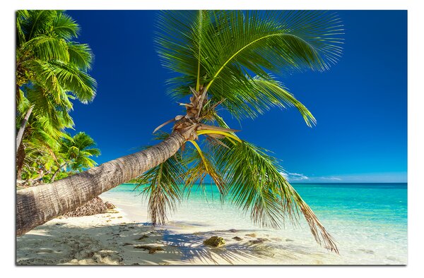 Obraz na plátně - Pláž s palmami 184A (75x50 cm)