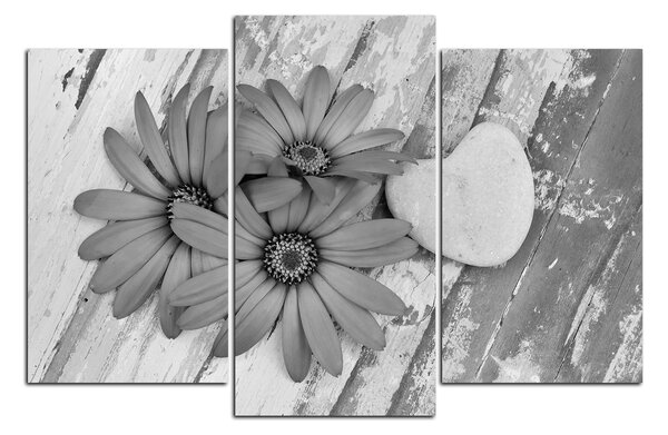 Obraz na plátně - Květy a kamenné srdce 183QC (90x60 cm)
