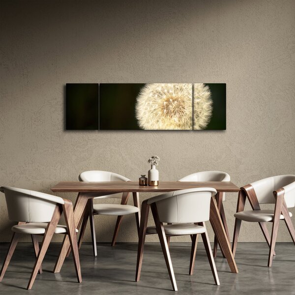 Obraz šedé pampelišky (170x50 cm)
