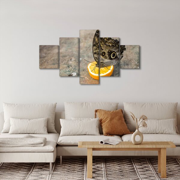 Obraz motýla (125x70 cm)