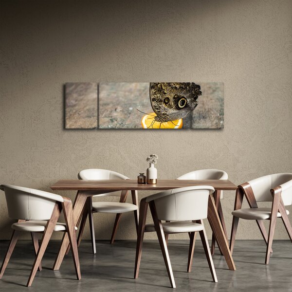 Obraz motýla (170x50 cm)