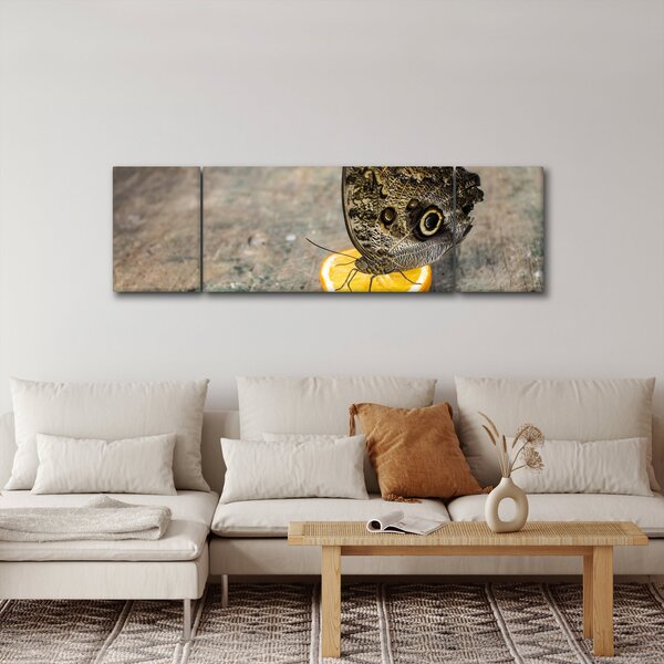 Obraz motýla (170x50 cm)
