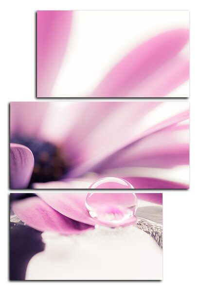 Obraz na plátně - Gerbera ve vodě - obdélník 780C (90x60 cm)