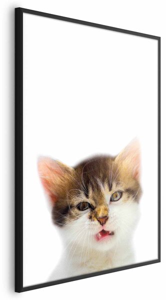 Artgeist Plakát - Naštvaná kočka Velikost: 21x30 cm, Provedení: Černý rám
