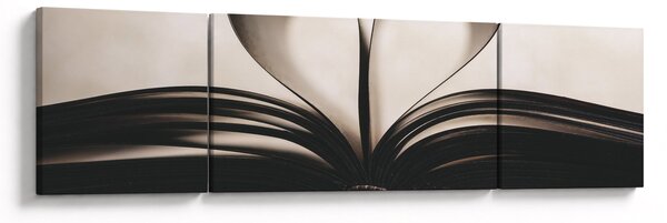 Obraz knihy (170x50 cm)