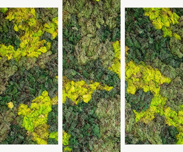 Struktura zeleného mechu – Třídílný obraz B, 120 × 100 cm