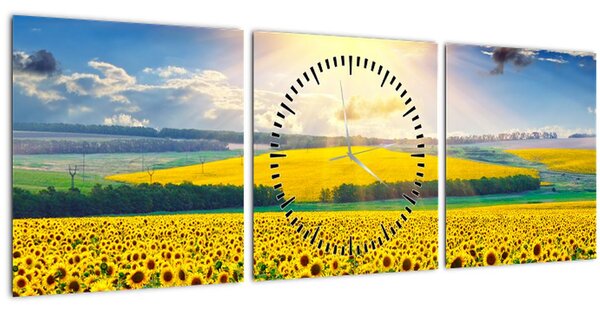 Obraz - Pole Slunečnic (s hodinami) (90x30 cm)