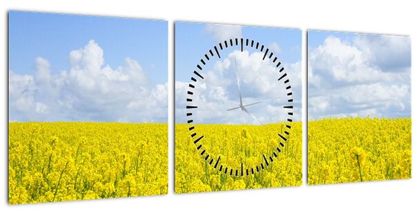 Obraz žlutého pole (s hodinami) (90x30 cm)