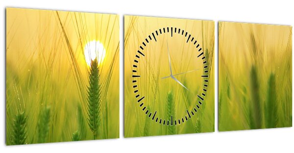 Obraz pole s obilím (s hodinami) (90x30 cm)