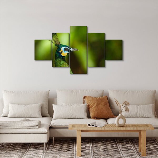 Obraz páva (125x70 cm)