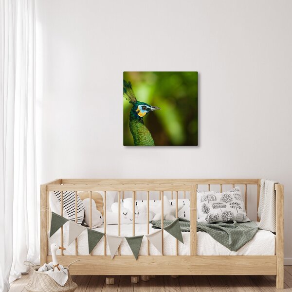 Obraz páva (30x30 cm)