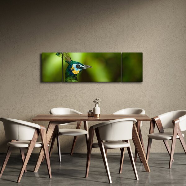 Obraz páva (170x50 cm)