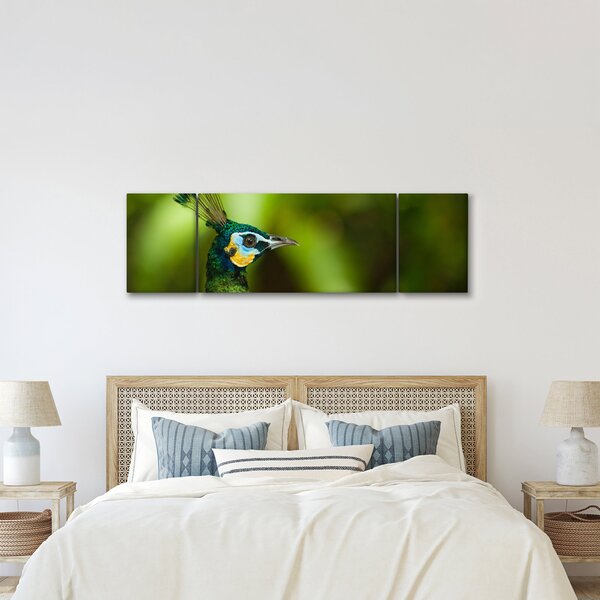 Obraz páva (170x50 cm)