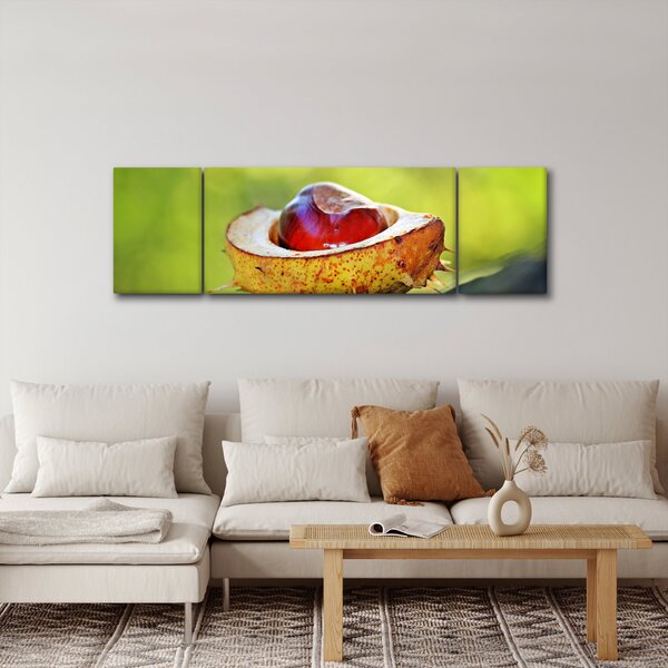 Obraz kaštanu (170x50 cm)