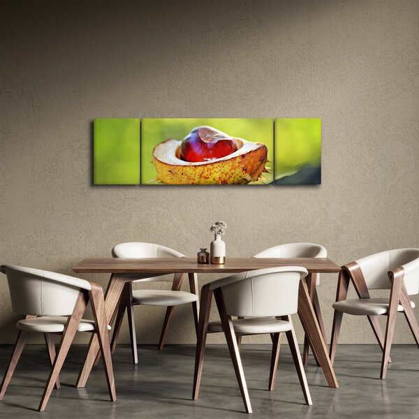 Obraz kaštanu (170x50 cm)