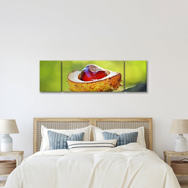 Obraz kaštanu (170x50 cm)