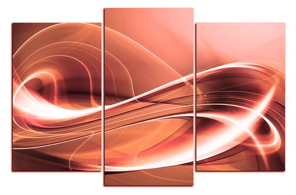 Obraz na plátně - Elegantní design 1107FD (90x60 cm)