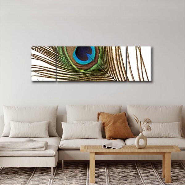 Obraz pavího peří (170x50 cm)