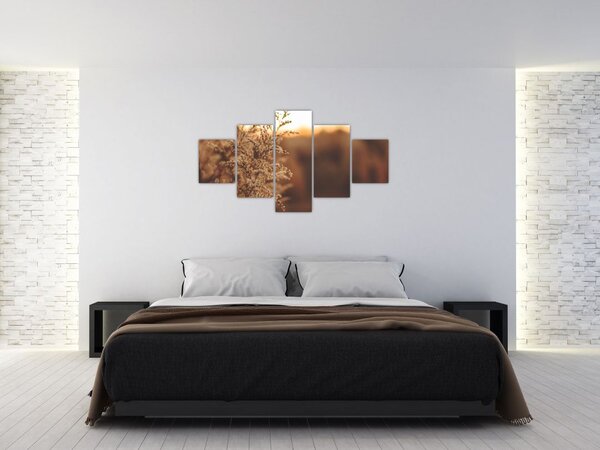 Obraz kvetoucí trávy (125x70 cm)