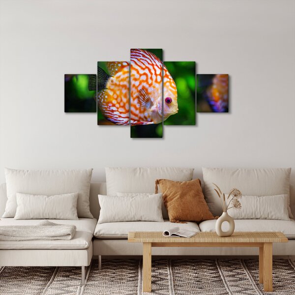Obraz ryby (125x70 cm)