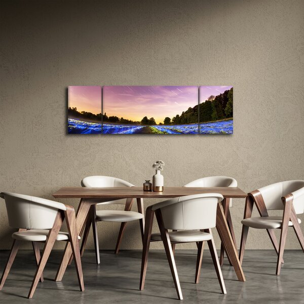 Obraz barevného pole (170x50 cm)