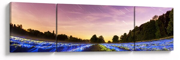 Obraz barevného pole (170x50 cm)