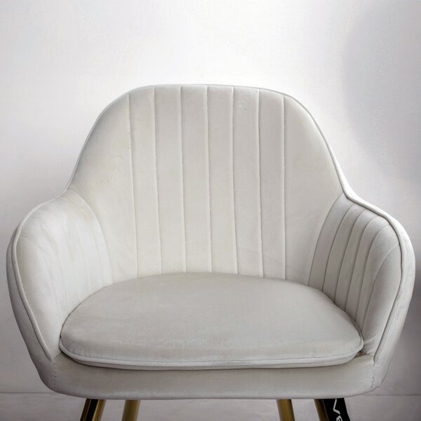 Velaco Velurové jídelní křeslo BETO-NEW, krémové/zlaté
