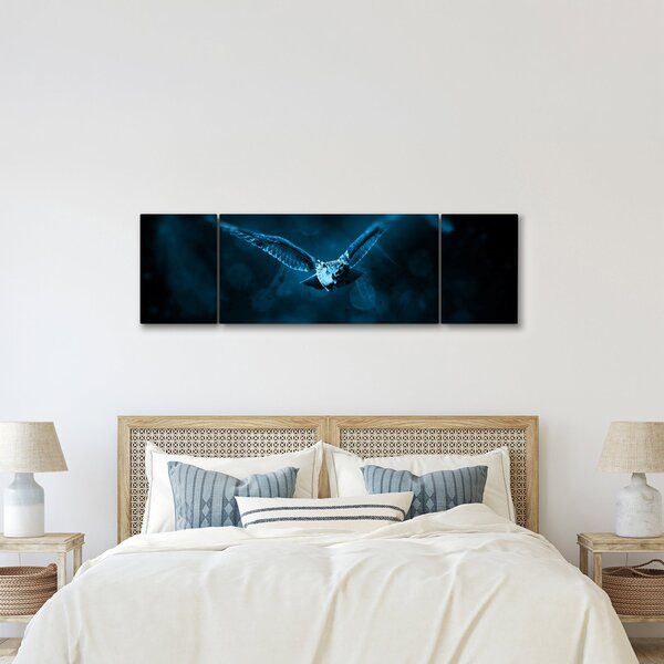 Obraz letící sovy (170x50 cm)
