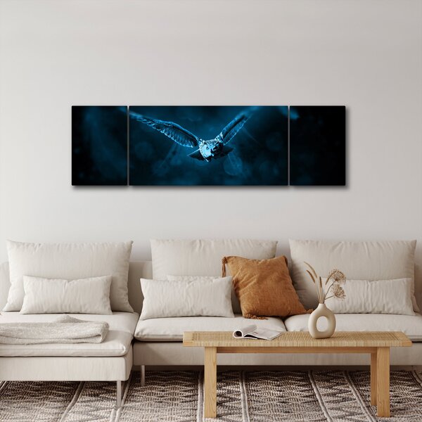 Obraz letící sovy (170x50 cm)